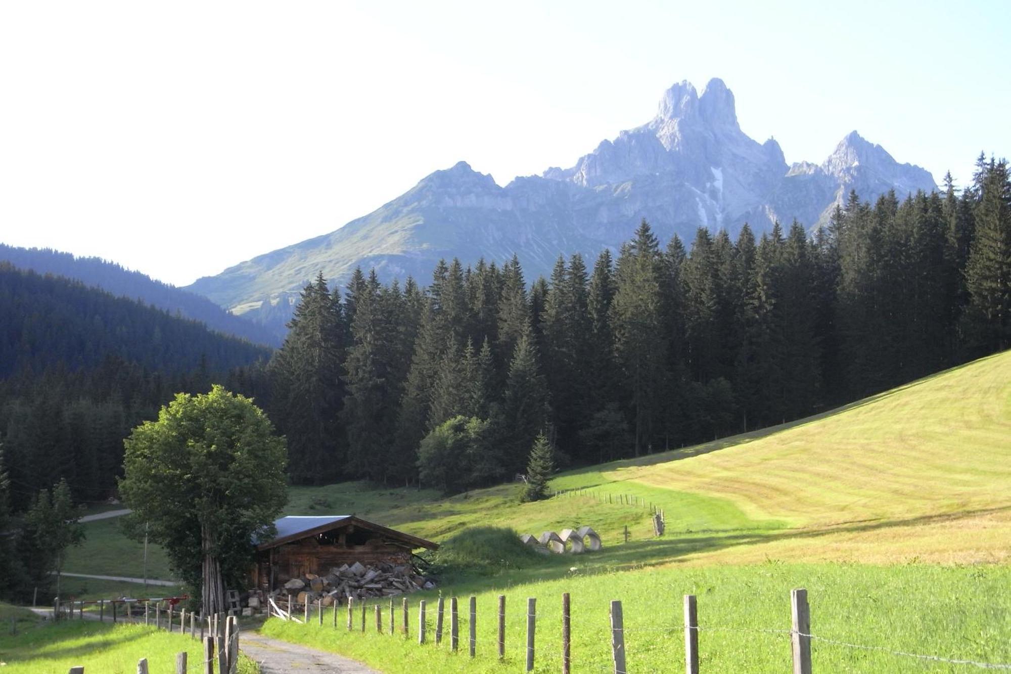 Aparthaus Birkenheim Filzmoos Bagian luar foto