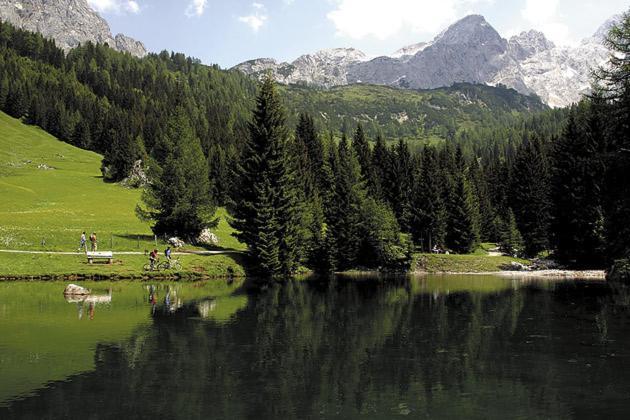 Aparthaus Birkenheim Filzmoos Bagian luar foto